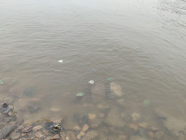 半导体芯片封装，砂轮划片机施展着主要的作用！